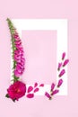 Rose and Foxglove Summer Flowers for Herbal Plant Medicine Royalty Free Stock Photo