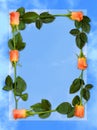 Rose frame love letter blue paper background Royalty Free Stock Photo