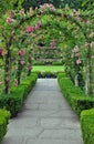 Rose garden archway Royalty Free Stock Photo