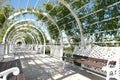 Rose garden in the beach park of maltepe in istanbul