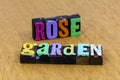 Rose garden beautiful peace love romance life together relationship