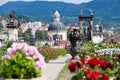 Rose garden, castle gardens, town Decin, North Bohemia, Czech republic