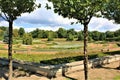 Rose Garden in Citadel Park in Poznan, Poland