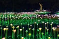 The Rose Garden Ã¢â¬â 6,000 color-changing rose flowers illuminations in the gardens of a baroque royal WilanÃÂ³w Palace Royalty Free Stock Photo