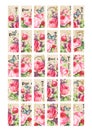 Rose Garden Domino Images 1x2 Rectangular Printables