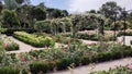 Rose Garden, El Retiro Park, Madrid, Spain Royalty Free Stock Photo