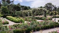 Rose Garden, El Retiro Park, Madrid, Spain Royalty Free Stock Photo