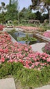 Rose Garden, El Retiro Park, Madrid, Spain Royalty Free Stock Photo