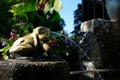 Rose garden Fountain frog The famous gardens of Butchert on Victoria Island. Canada. The Butchart Gardens Royalty Free Stock Photo