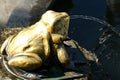 Rose garden Fountain frog The famous gardens of Butchert on Victoria Island. Canada. The Butchart Gardens Royalty Free Stock Photo