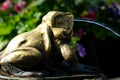 Rose garden Fountain frog The famous gardens of Butchert on Victoria Island. Canada. The Butchart Gardens Royalty Free Stock Photo