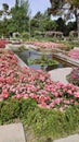 Rose Garden, El Retiro Park, Madrid, Spain Royalty Free Stock Photo