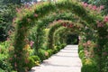 Rose Garden Landscape Royalty Free Stock Photo