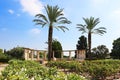 Rose garden, palms and sun clock, Park Ramat Hanadiv, Israel
