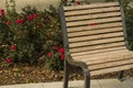 Rose garden in park with empty wooden bench Royalty Free Stock Photo