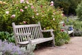 Rose garden in the park with wooden bench Royalty Free Stock Photo