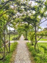 Rose garden pergola Royalty Free Stock Photo