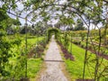 Rose garden pergola Royalty Free Stock Photo