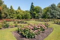 Rose garden in Pollard Park in Blenheim