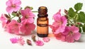 Rose geranium essential oil isolated on white Royalty Free Stock Photo