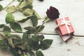 Rose and gift box Royalty Free Stock Photo