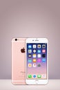 Rose Gold Apple iPhone 7 with iOS 10 on the screen on vertical gradient background with copy space Royalty Free Stock Photo