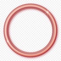 Rose gold circle frame. Rose golden round frame isolated on transparent background. Circle shape. Isolated vector