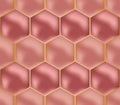 Rose-gold decorative hexagon pattern with golden margins