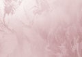 Rose gold foil texture background Royalty Free Stock Photo