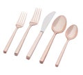 Rose Gold Luna Stainless Steel Flatware, 5-Piece