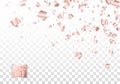 Rose gold paper confetti chaotic falling on transparent background. Festive vector illustration. All isolated and layered