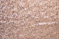 rose gold sequin background Royalty Free Stock Photo