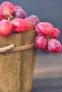 Rose grapes in wooden bucket on a woden table