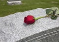 Rose on a Grave Royalty Free Stock Photo