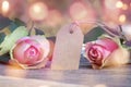 Rose greetings for valentines day Royalty Free Stock Photo
