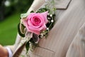Rose on groom Royalty Free Stock Photo