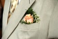Rose on groom Royalty Free Stock Photo