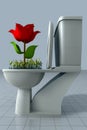 Rose growing in toilet