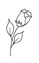 Rose is a hand drawing doodle cartoon. A blossoming rosebud. Vector illustration