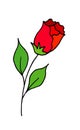 Rose is a hand drawing doodle cartoon. A blossoming rosebud. Vector illustration