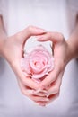 Rose in the hands girl. Beautiful girl hands holding pink rose.