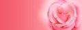 Rose in heart shape, valentines day Facebook cover Royalty Free Stock Photo