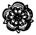 The Rose are heraldic charge borne by the seventh eldest son vintage engraving
