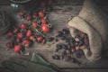 Rose hip berries, sack of dry sweet briar fruits, gloves and rustic cup Royalty Free Stock Photo
