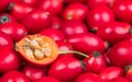 Rose hip half with core hairy seeds in sweet pulp on red fruits texture. Rosa canina Royalty Free Stock Photo