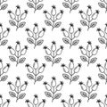 Rose hip hand drawn seamless pattern. Rosehip texture endless background. Plant vector icons. Royalty Free Stock Photo