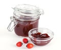 Rose hip jam and fruits over white Royalty Free Stock Photo