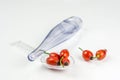 Rose hip on a medicine spoon with case of temperature indicator