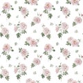 Rose hip pink flowers with buds and green leaves, Victorian style, watercolor seamless pattern on white background. Royalty Free Stock Photo