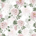 Rose hip pink flowers with buds and green leaves, Victorian style, watercolor seamless pattern on white background. Royalty Free Stock Photo